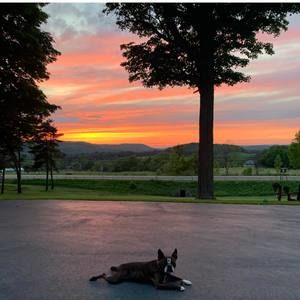 Meet your Posher, Matt